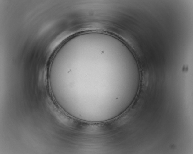 X0000111921078200907271243