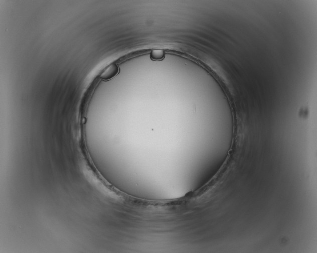X0000111921080200907271243