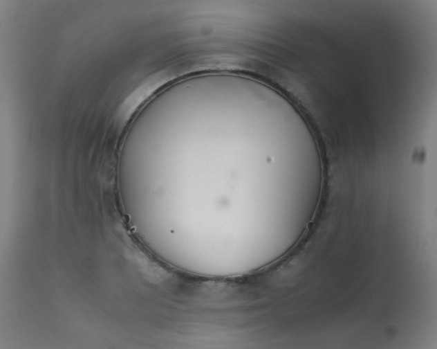 X0000111921081200907271243