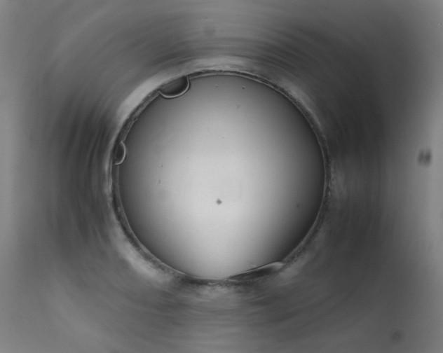 X0000111921082200907271243