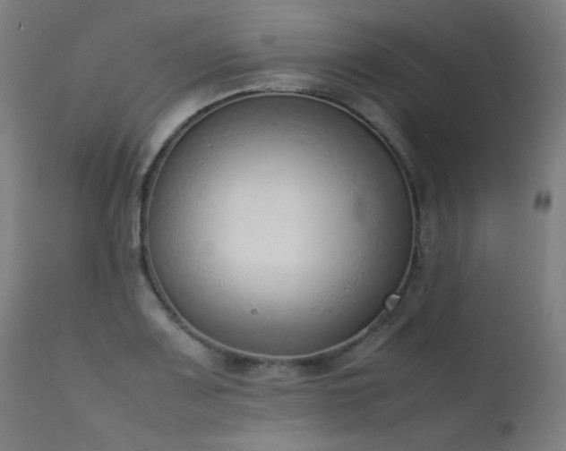 X0000111921083200907271243