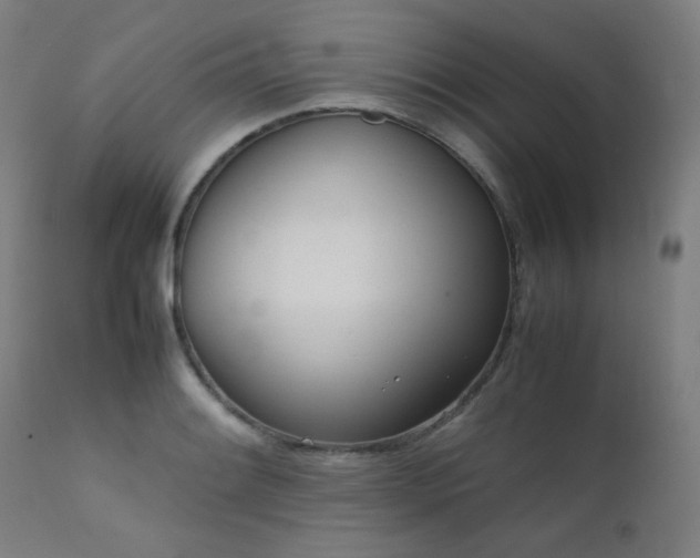 X0000111921084200907271243