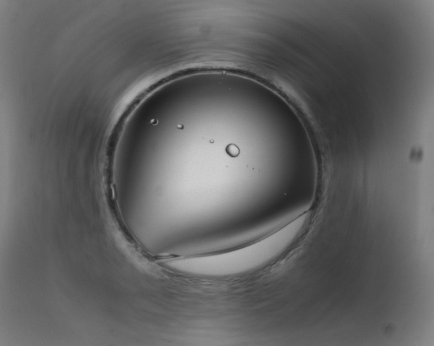 X0000111921085200907271243