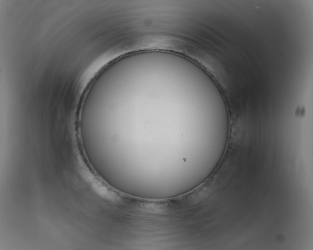 X0000111921086200907271243