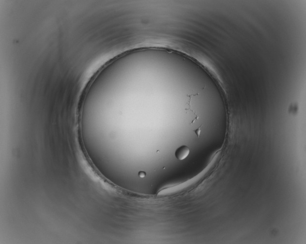 X0000111921088200907271243