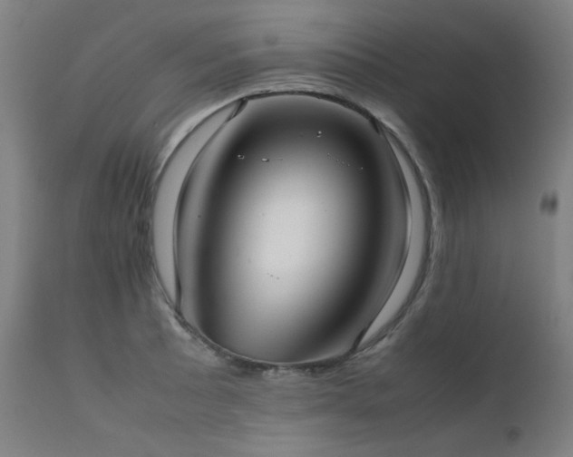 X0000111921089200907271243