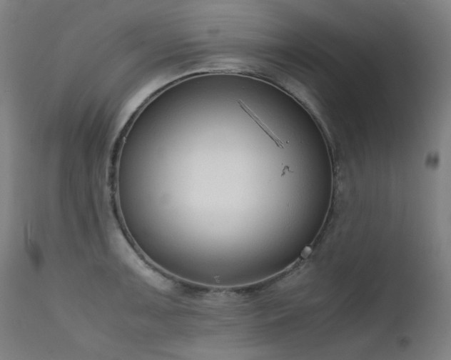 X0000111921091200907271243