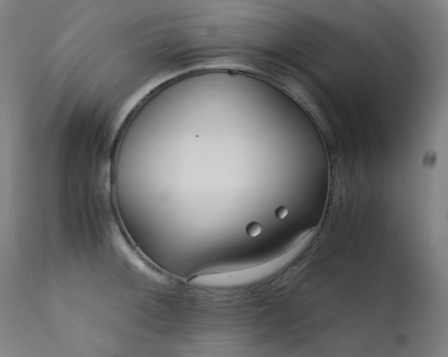 X0000111921092200907271243