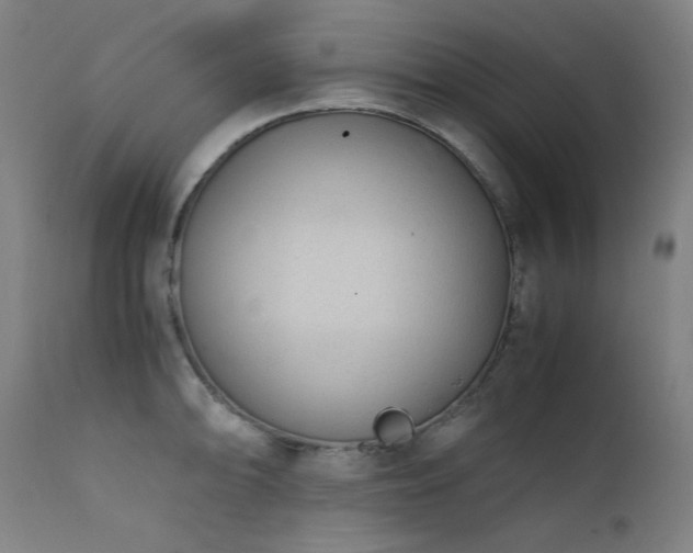 X0000111921094200907271242