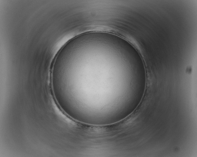 X0000111921095200907271242