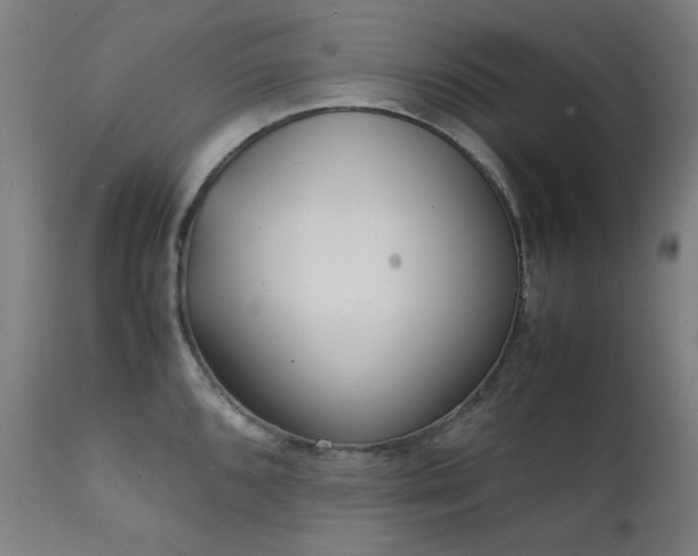 X0000111921096200907271242