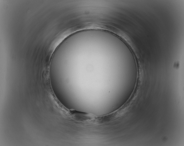 X0000111921097200907271242