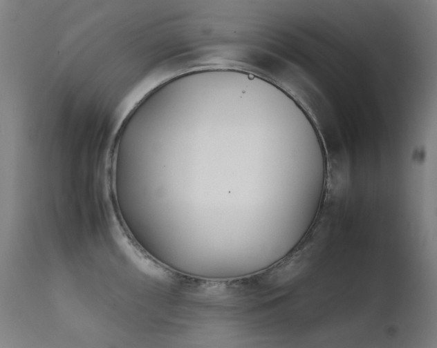 X0000111921098200907271242