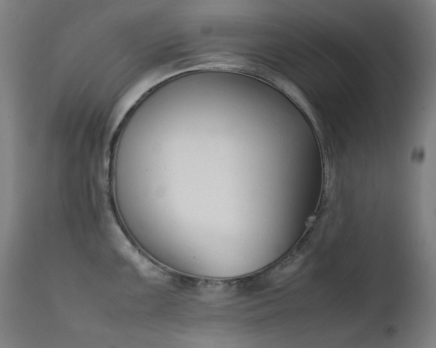 X0000111921099200907271242