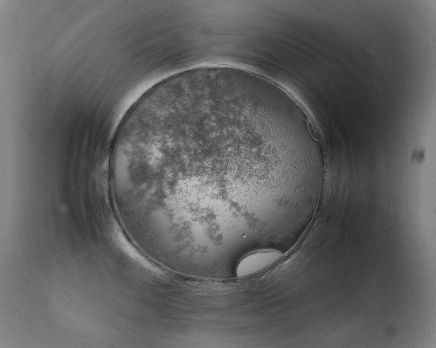 X0000111921100200907271242