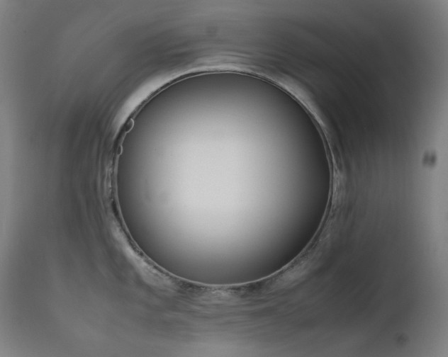 X0000111921101200907271242