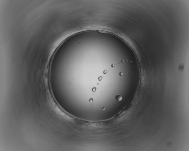 X0000111921102200907271242