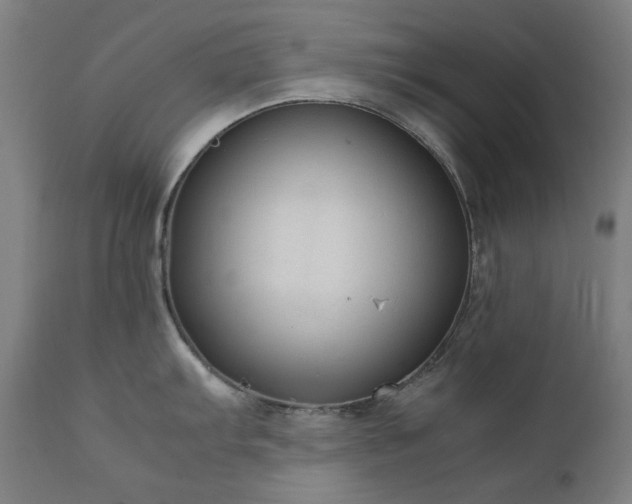 X0000111921103200907271242