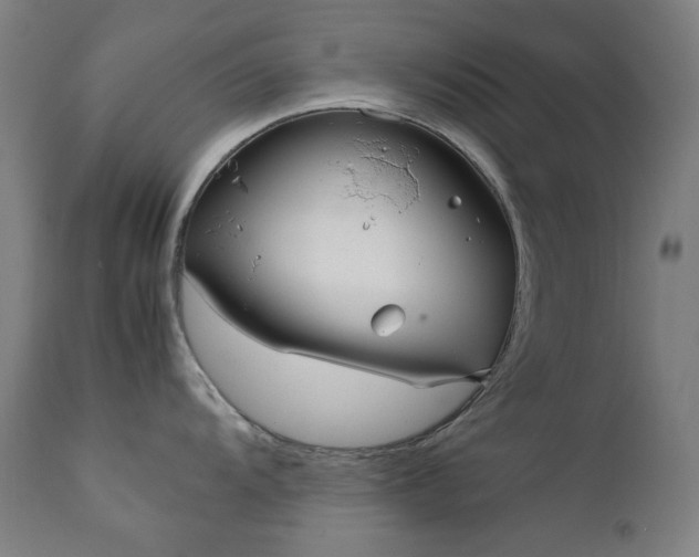 X0000111921104200907271242