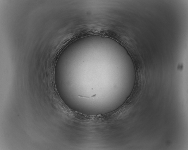 X0000111921105200907271242