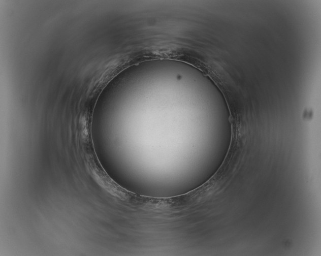 X0000111921106200907271242