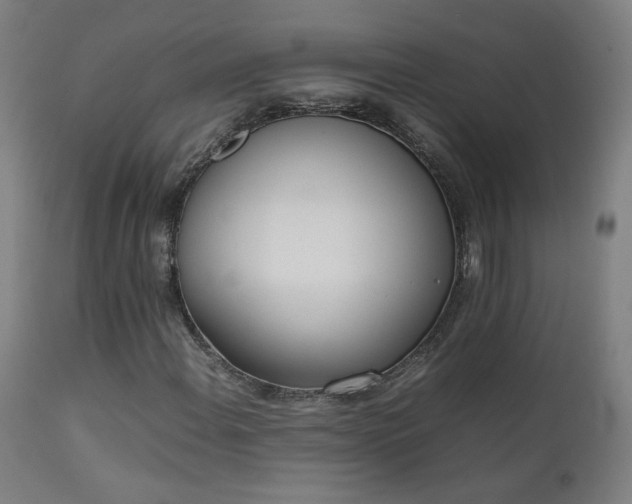 X0000111921108200907271242