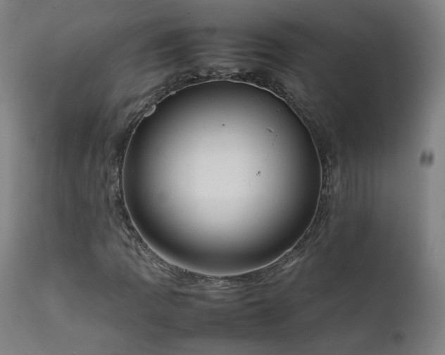 X0000111921109200907271242