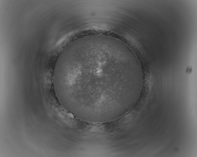 X0000111921110200907271242