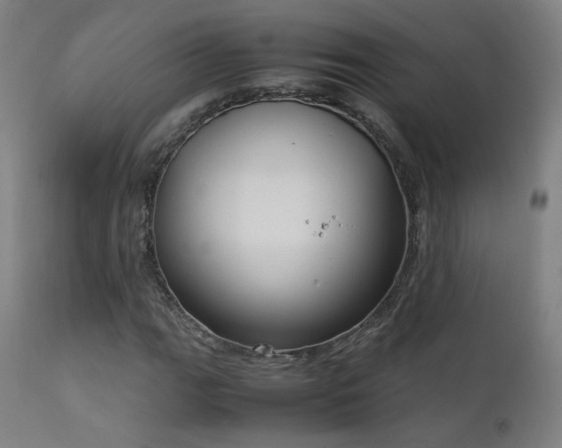 X0000111921111200907271242