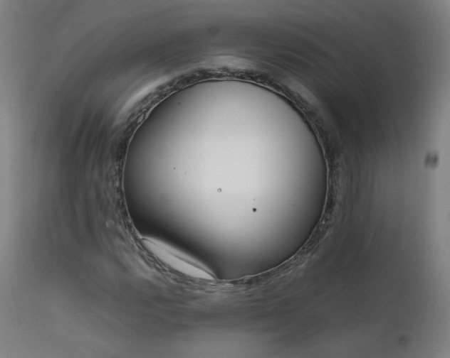 X0000111921112200907271242