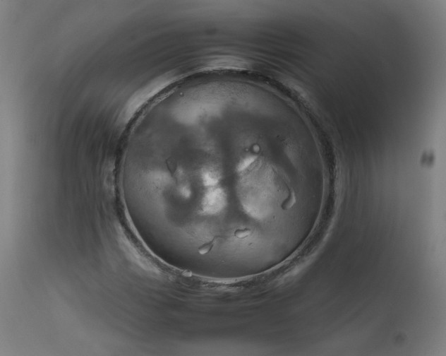 X0000111921113200907271242