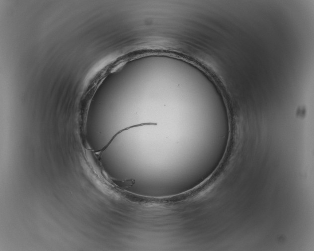 X0000111921114200907271242