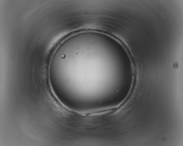 X0000111921115200907271242