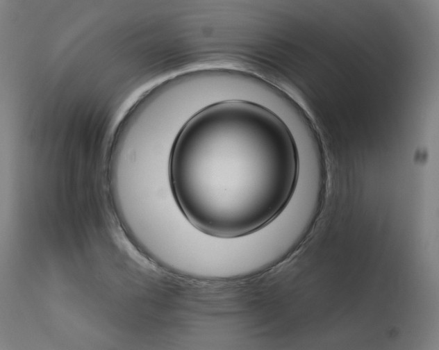 X0000111921116200907271242