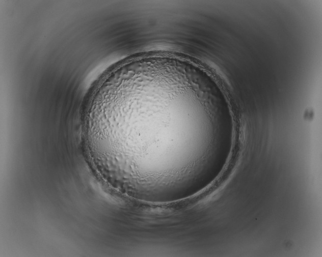 X0000111921117200907271242