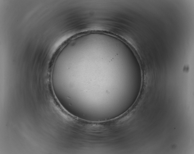 X0000111921119200907271242