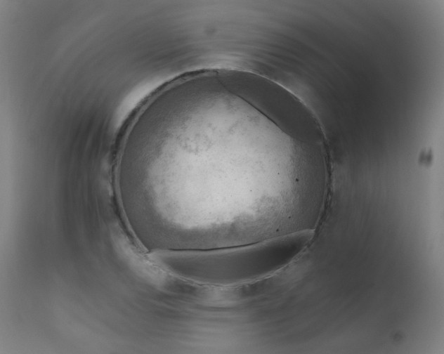 X0000111921120200907271242