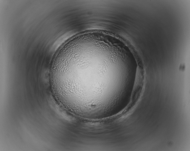 X0000111921121200907271242