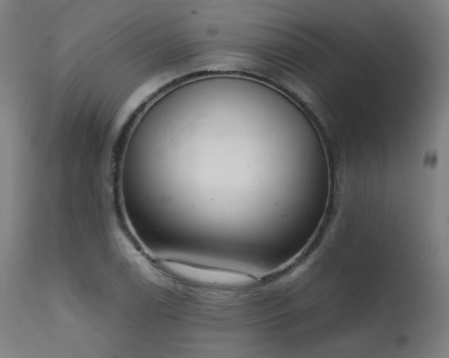 X0000111921122200907271242