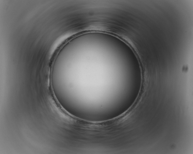 X0000111921123200907271242
