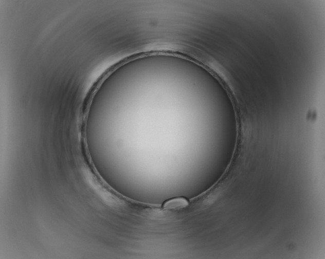 X0000111921124200907271242