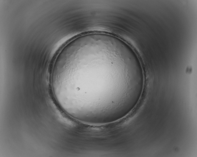 X0000111921125200907271242