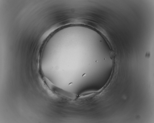 X0000111921127200907271242