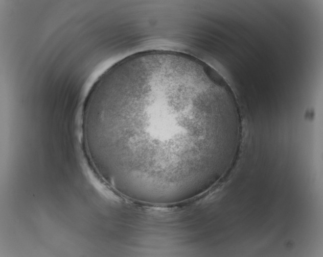 X0000111921128200907271242