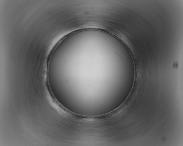 X0000111921132200907271242