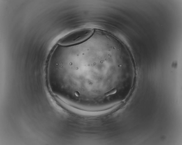 X0000111921133200907271242