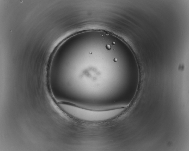X0000111921134200907271242