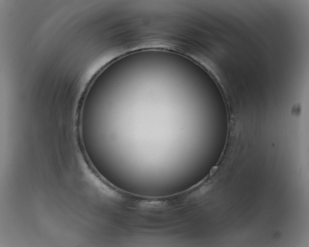 X0000111921135200907271242