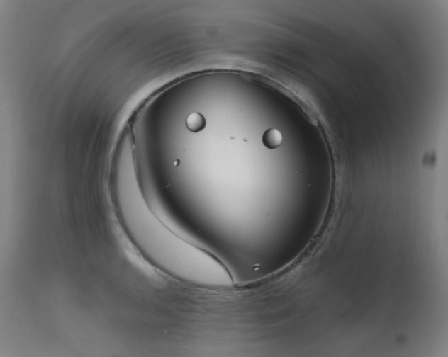 X0000111921136200907271242