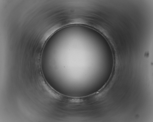 X0000111921137200907271242